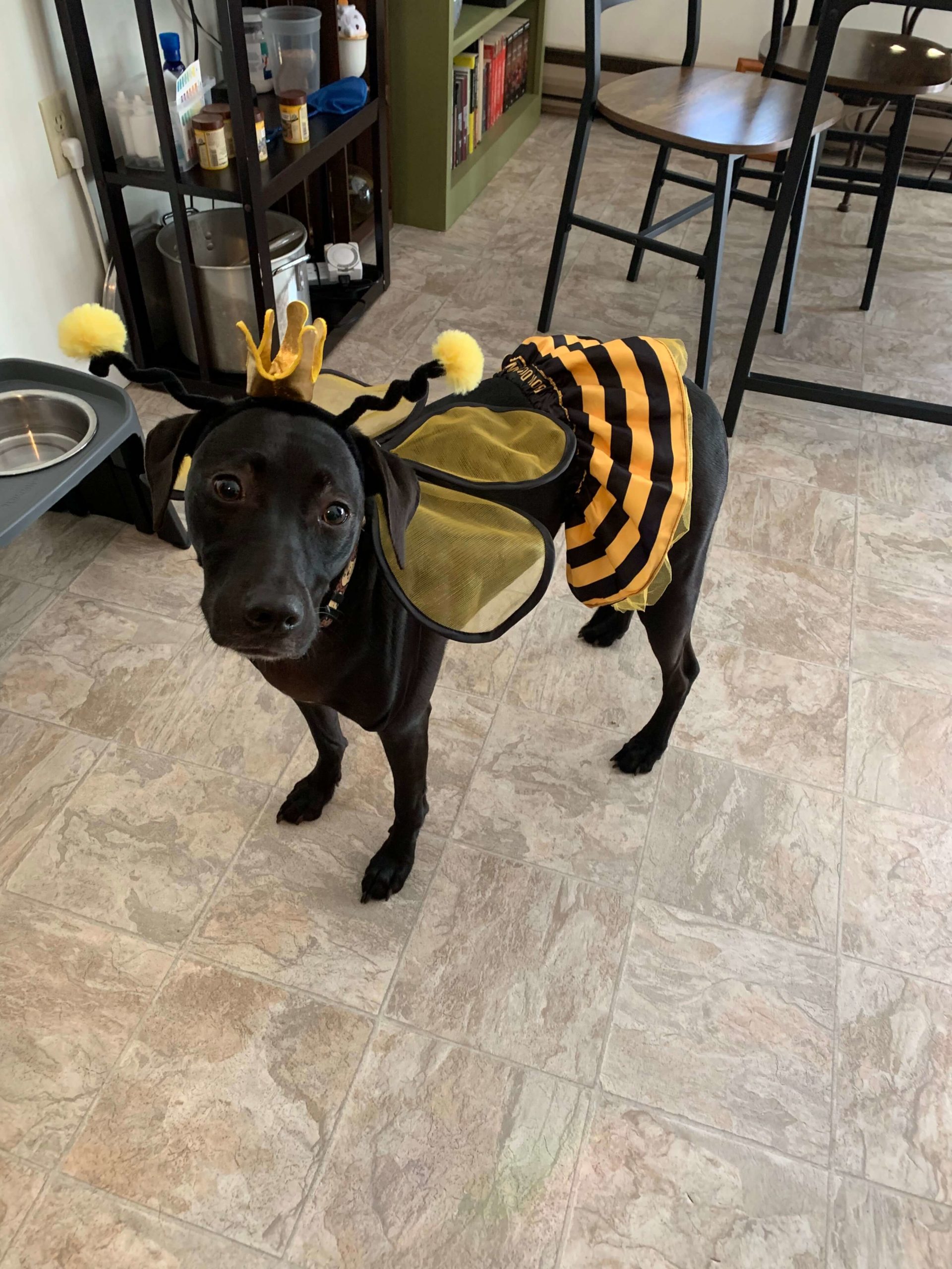 Winnie