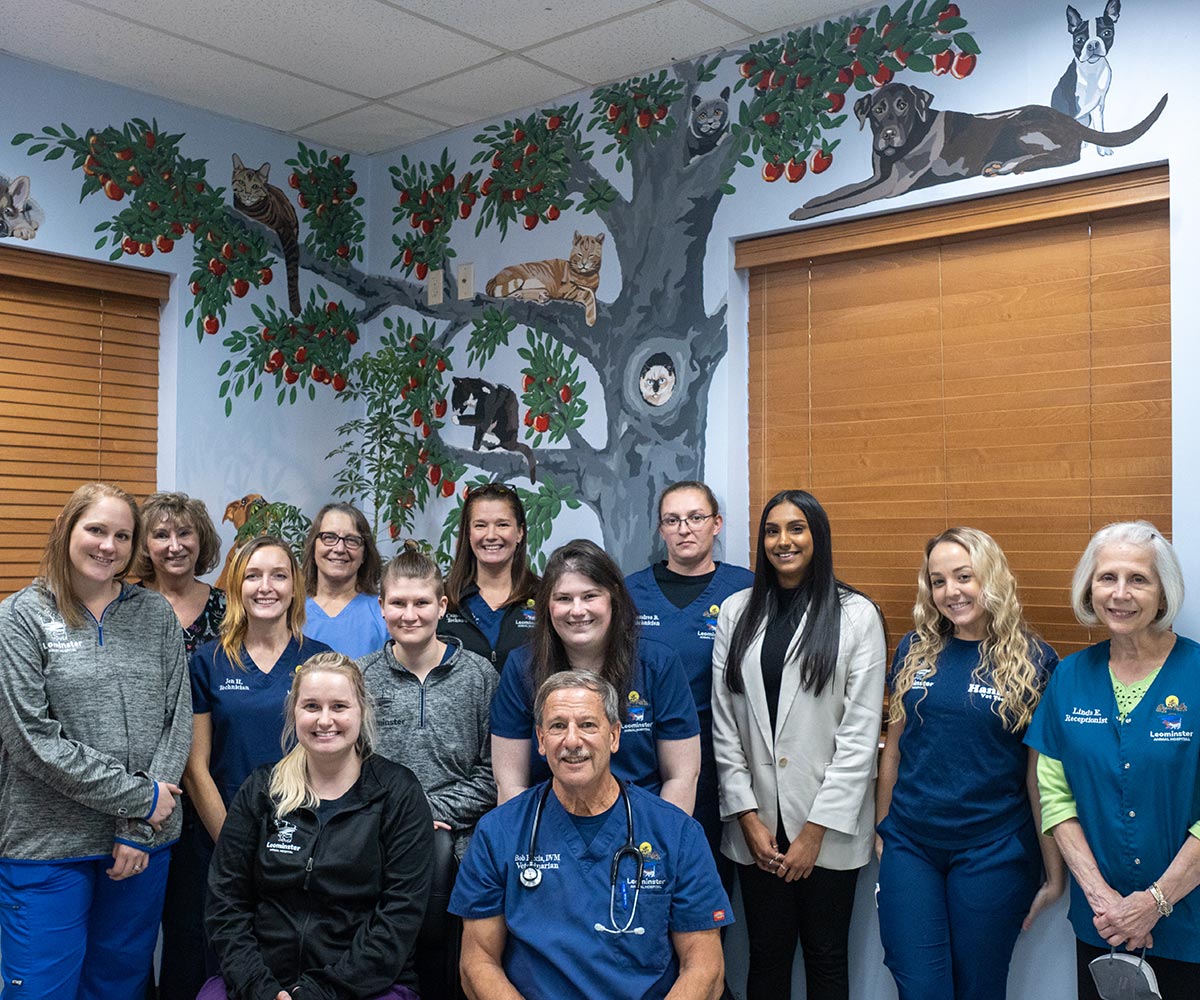 Leominster Animal Hospital team smiling in front of mural at the hospital