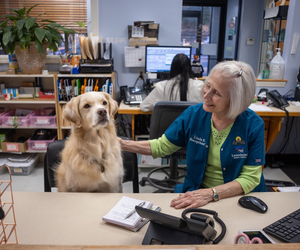 a vet staff sitting at a desk with a dog